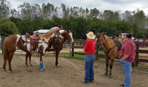 Farm Stroll 7