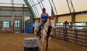 Training Horses 4